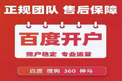 SEO策略在电商平台的成功应用案例